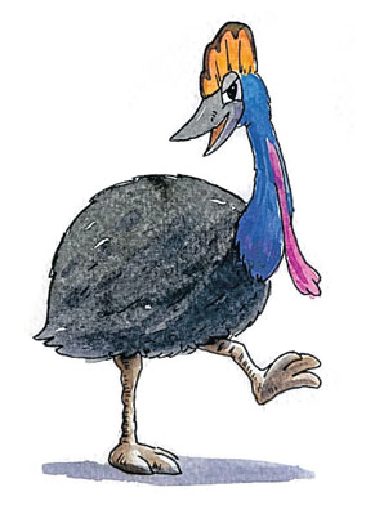 คาสโซวารี่ นักเลงแห่งป่าลึก