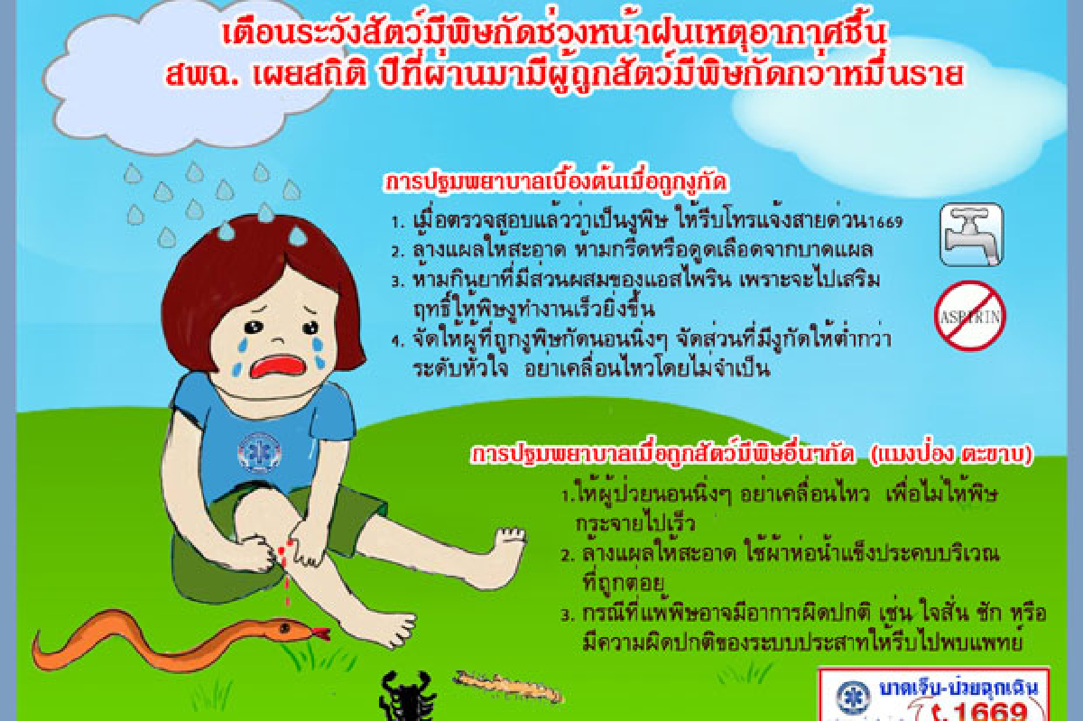 เตือนระวัง “งู-แมงป่อง-ตะขาบ” กัดหน้าฝน เตือนระวัง “งู-แมงป่อง-ตะขาบ” กัดหน้าฝน