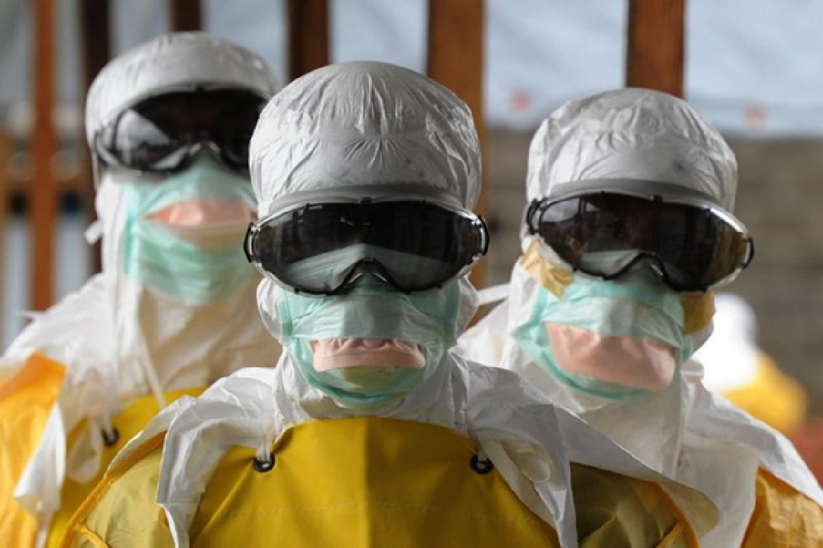 Ebola drug cures monkeys