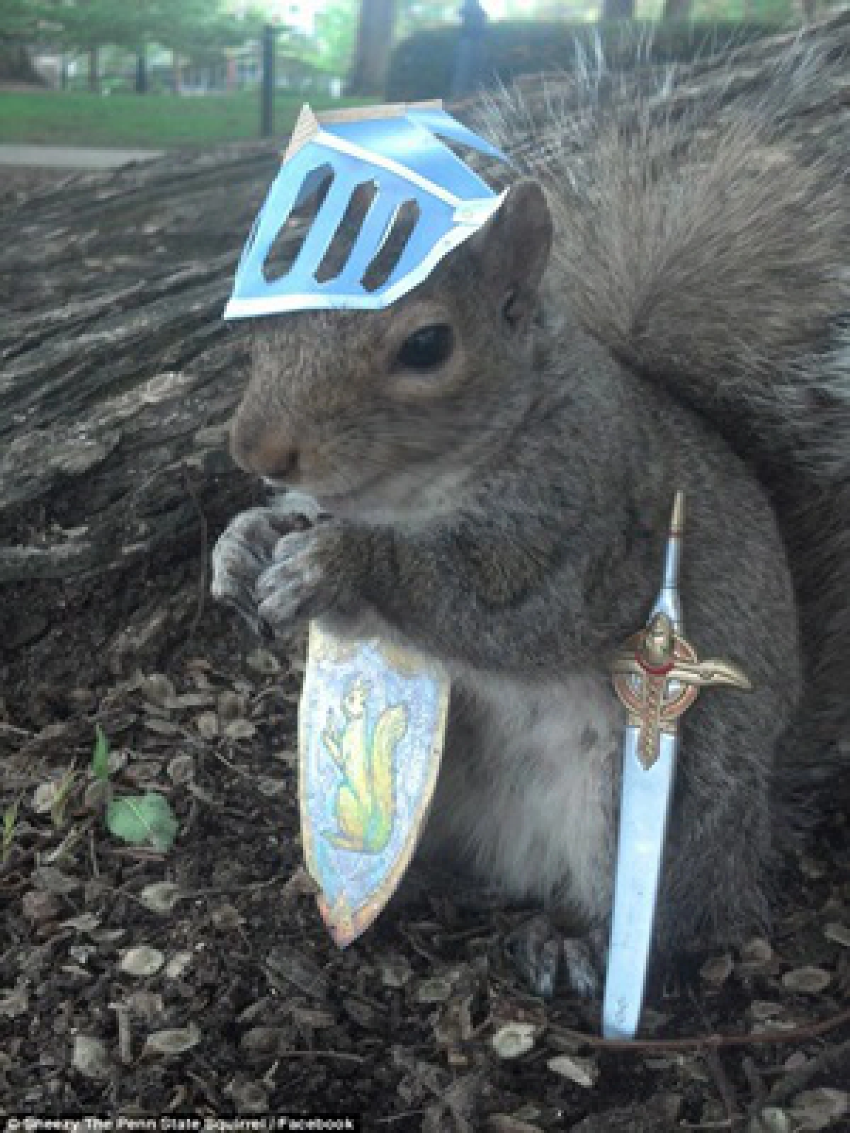 นศ.มะกันจับกระรอกแต่งตัวถ่ายภาพโพสต์ลงเฟซบุ๊ก