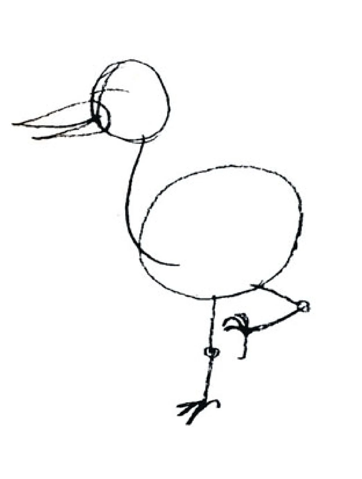 กระยางหิมะ สวยประหาร