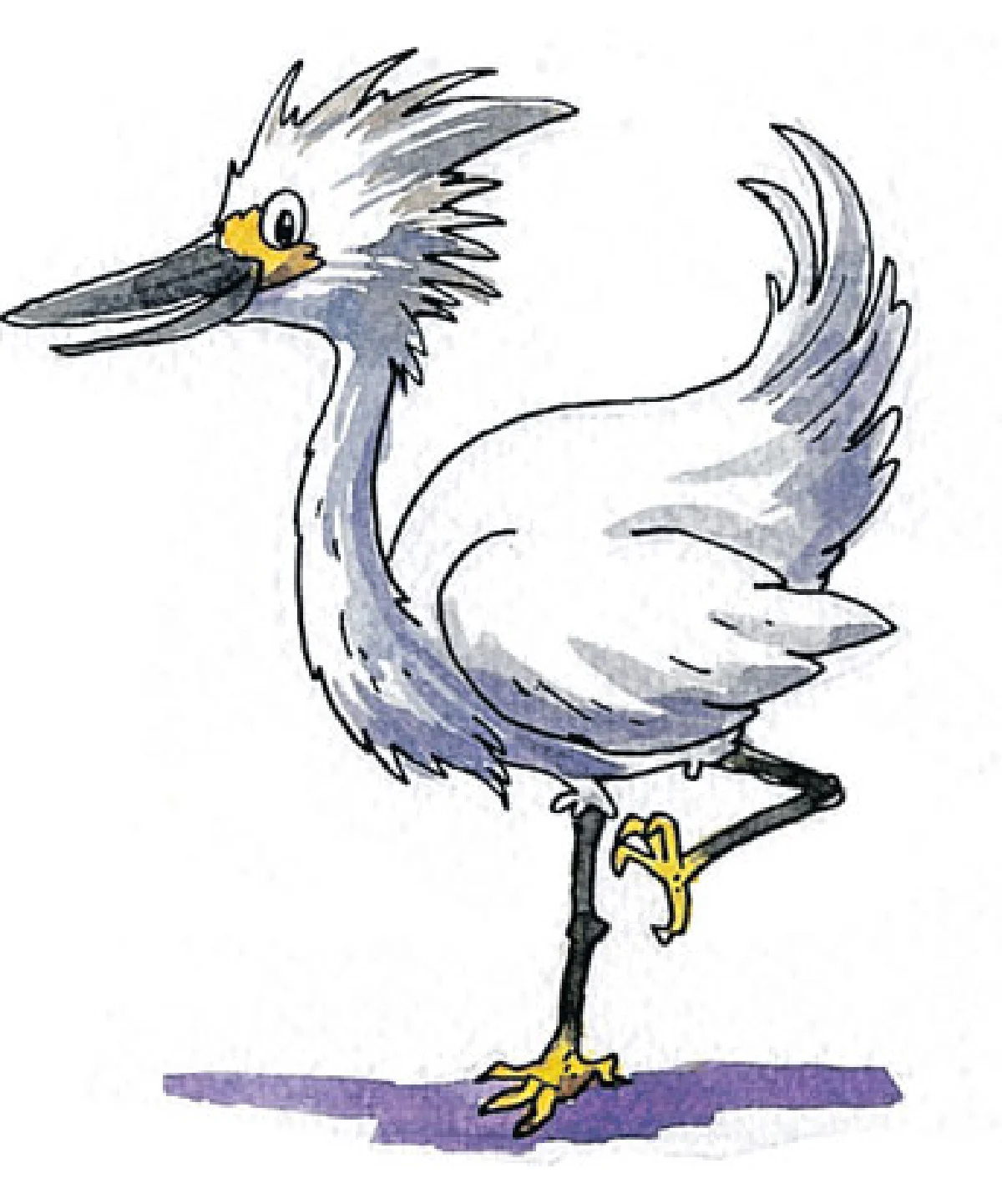 กระยางหิมะ สวยประหาร