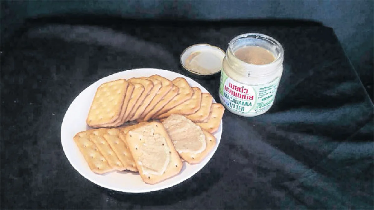 ‘แมคคาเดเมีย’ พืชเศรษฐกิจ สร้างรายได้ยั่งยืน