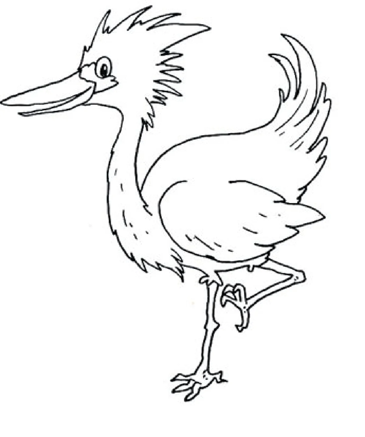 กระยางหิมะ สวยประหาร