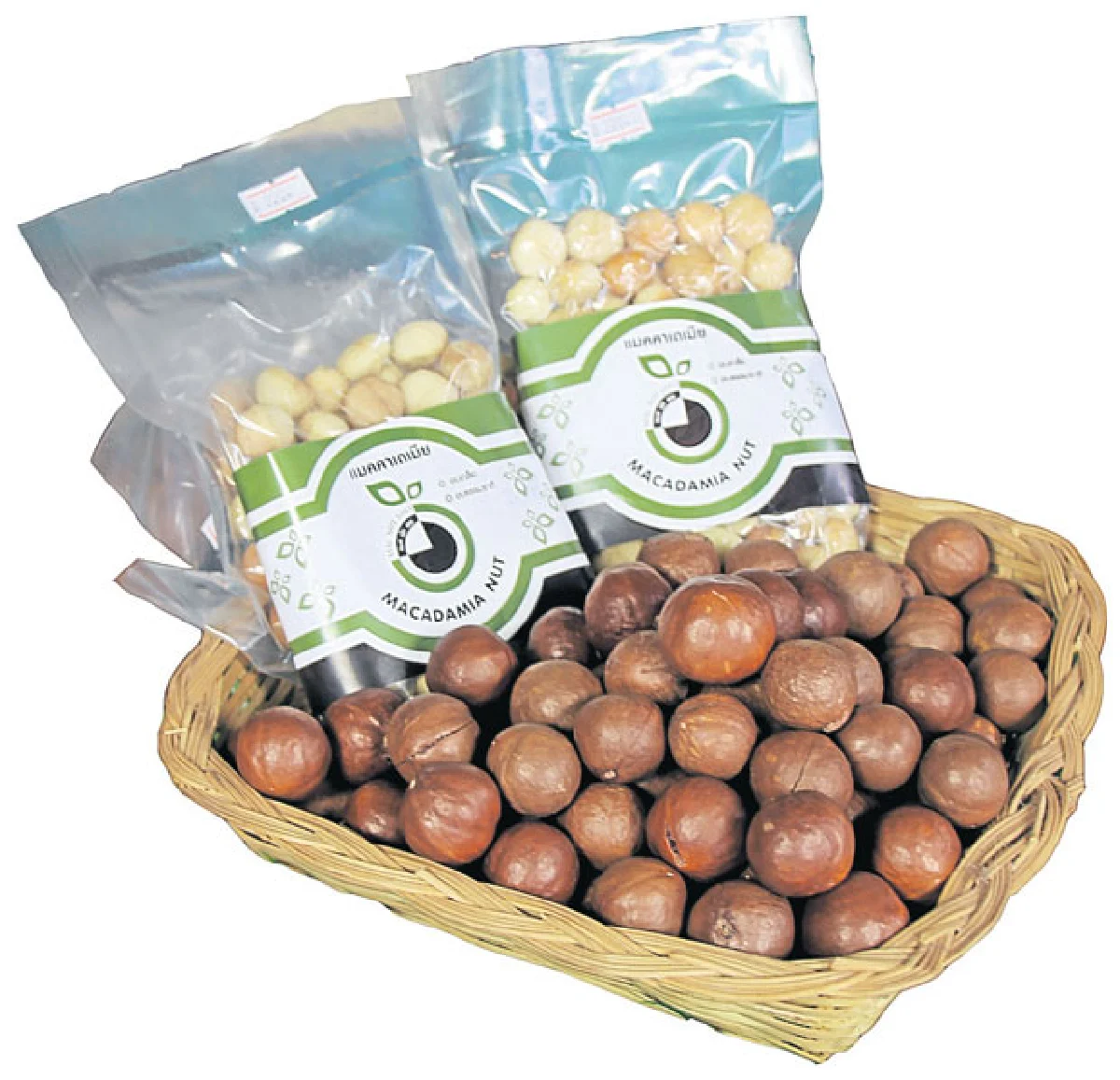 ‘แมคคาเดเมีย’ พืชเศรษฐกิจ สร้างรายได้ยั่งยืน