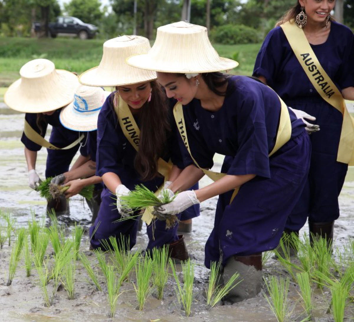 ประมวลภาพสาวประกวดมิสแกรนด์ฯเก็บตัวสุโขทัย