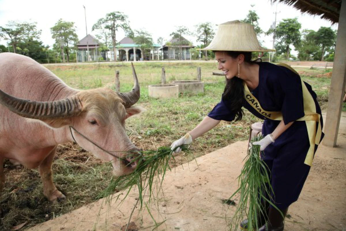 ประมวลภาพสาวประกวดมิสแกรนด์ฯเก็บตัวสุโขทัย
