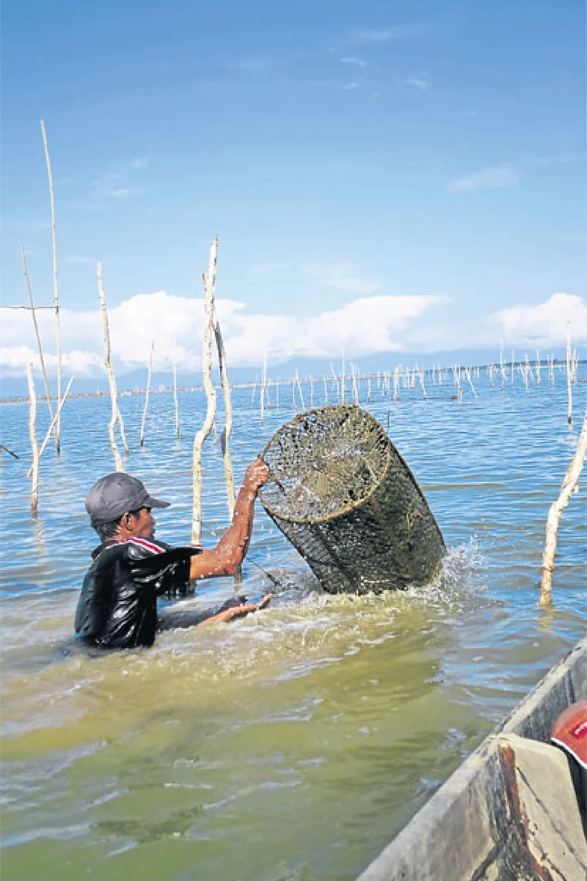 ประมงพื้นบ้านสัตว์น้ำอินทรีย์ ต่อลมหายใจ (คน) ทะเล
