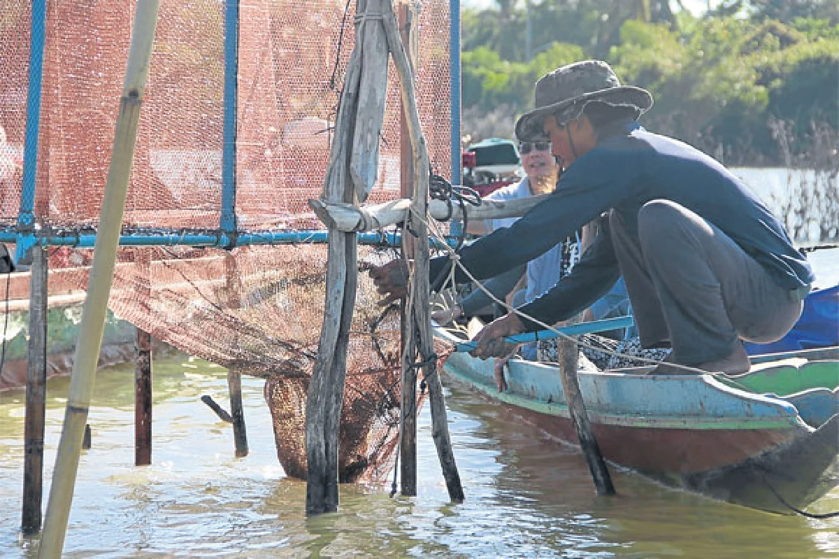 ประมงพื้นบ้านสัตว์น้ำอินทรีย์ ต่อลมหายใจ (คน) ทะเล