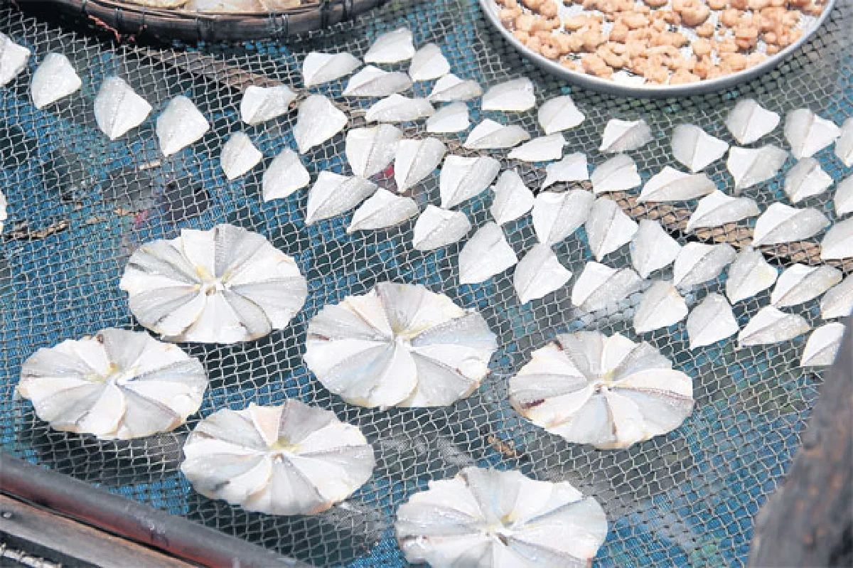 ประมงพื้นบ้านสัตว์น้ำอินทรีย์ ต่อลมหายใจ (คน) ทะเล