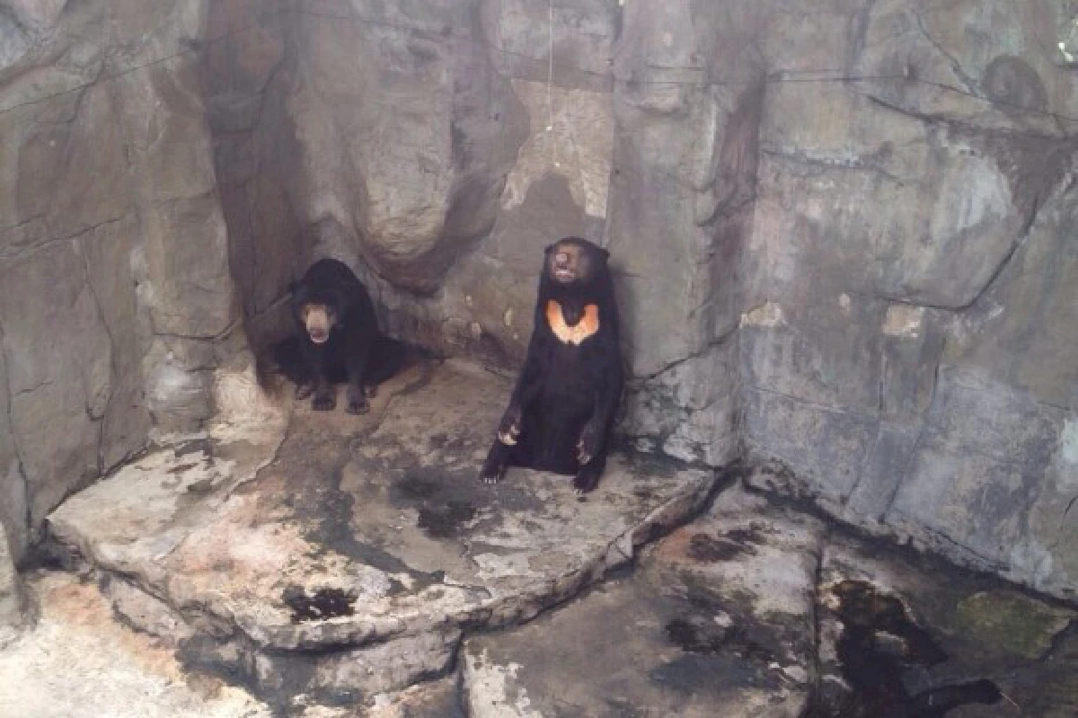 สวนสัตว์พาต้าควรแก่เวลาปิดตำนานแล้วจริงหรือ?