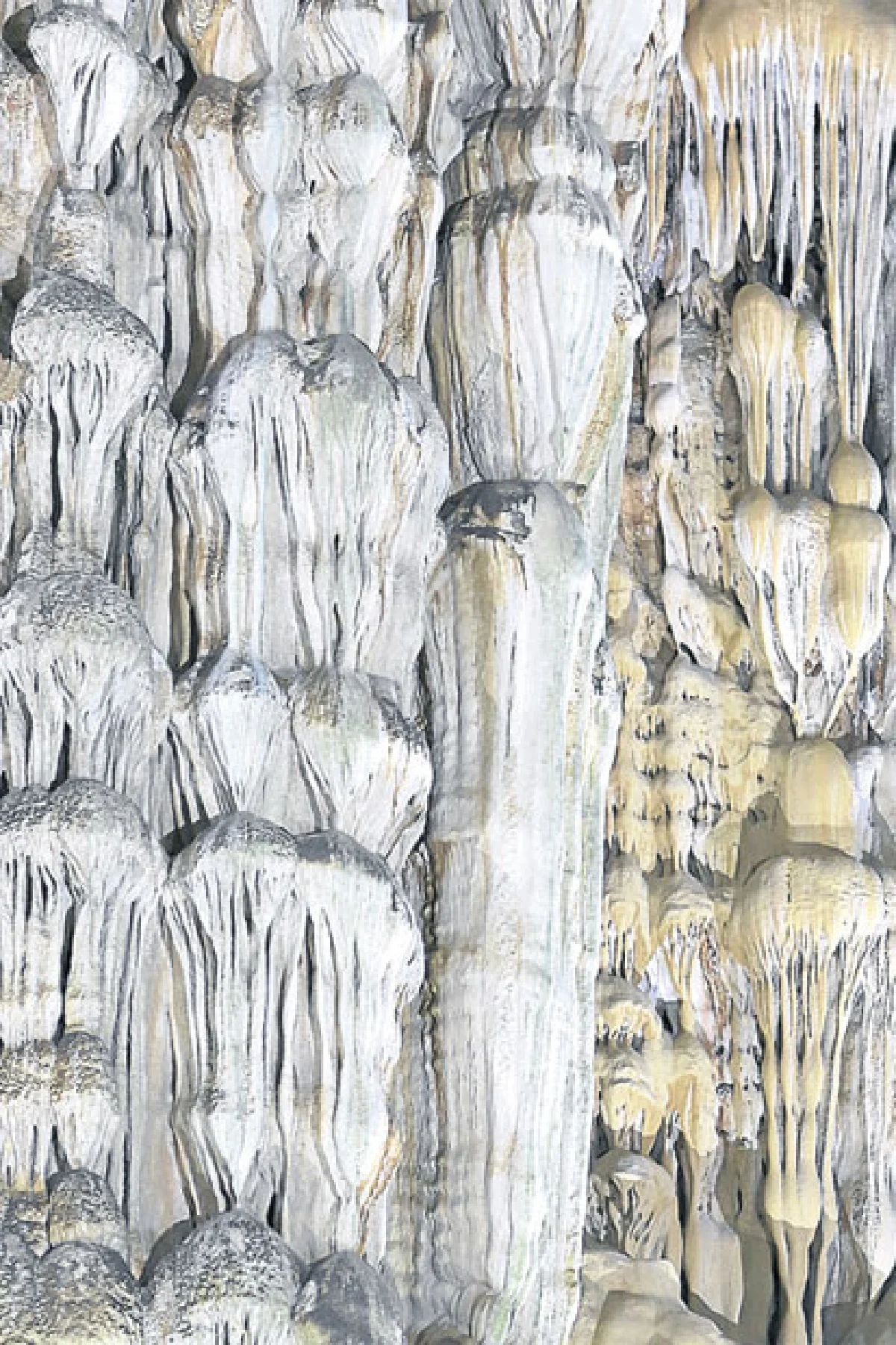 มองถ้ำ ‘ฟ็องญา’