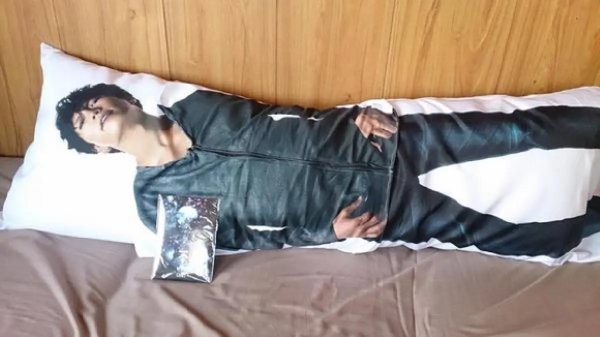 ฟิน!หมอนข้างลายดารา ปลดเปลื้องเสื้อผ้าได้