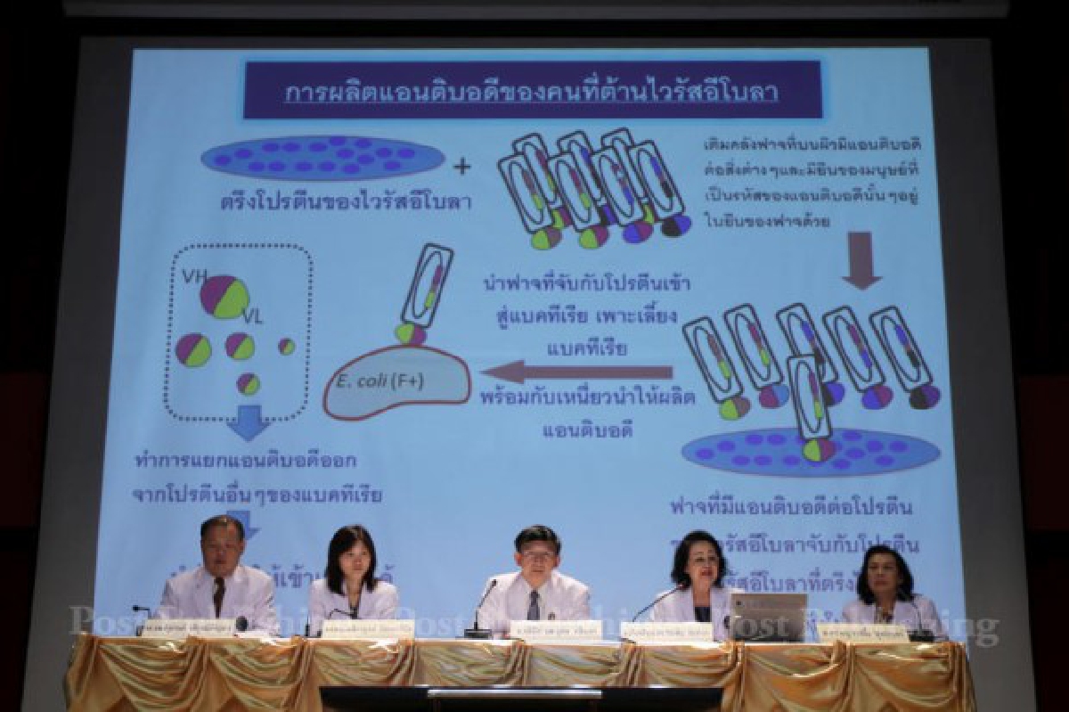 ศิริราชยื่นจดสิทธิบัตรวัคซีนต้านอีโบลา ศิริราชยื่นจดสิทธิบัตรวัคซีนต้านอีโบลา