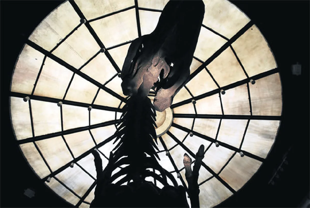 แซบอีหลี อีสาน 3 รส