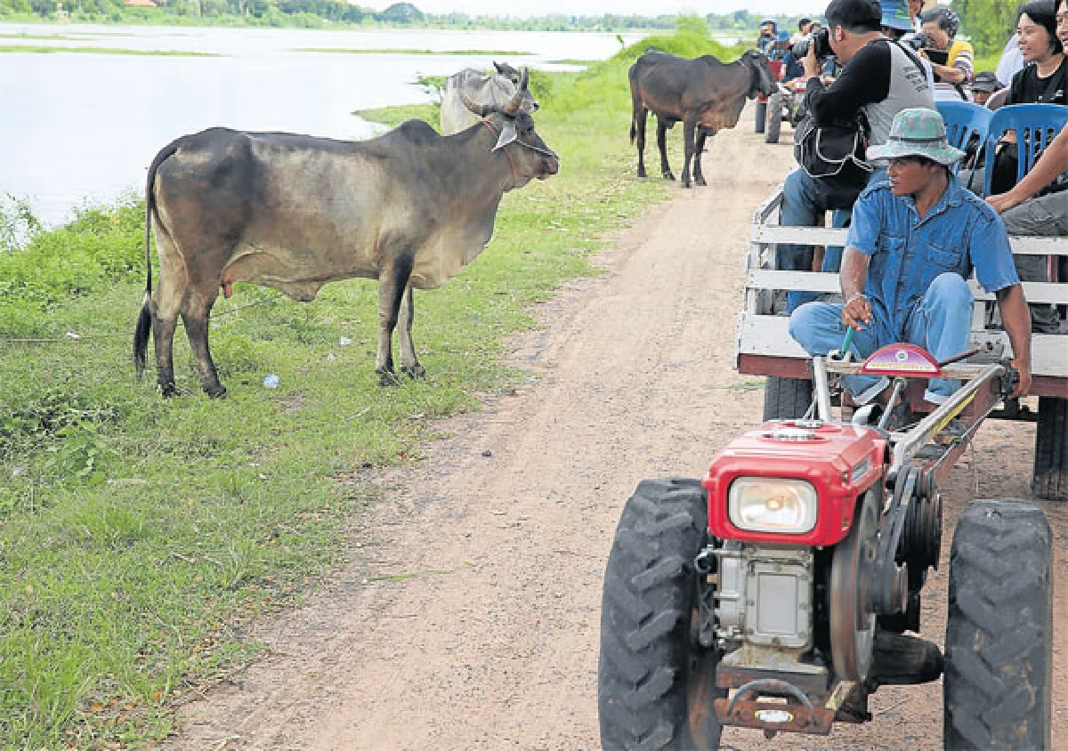 แซบอีหลี อีสาน 3 รส