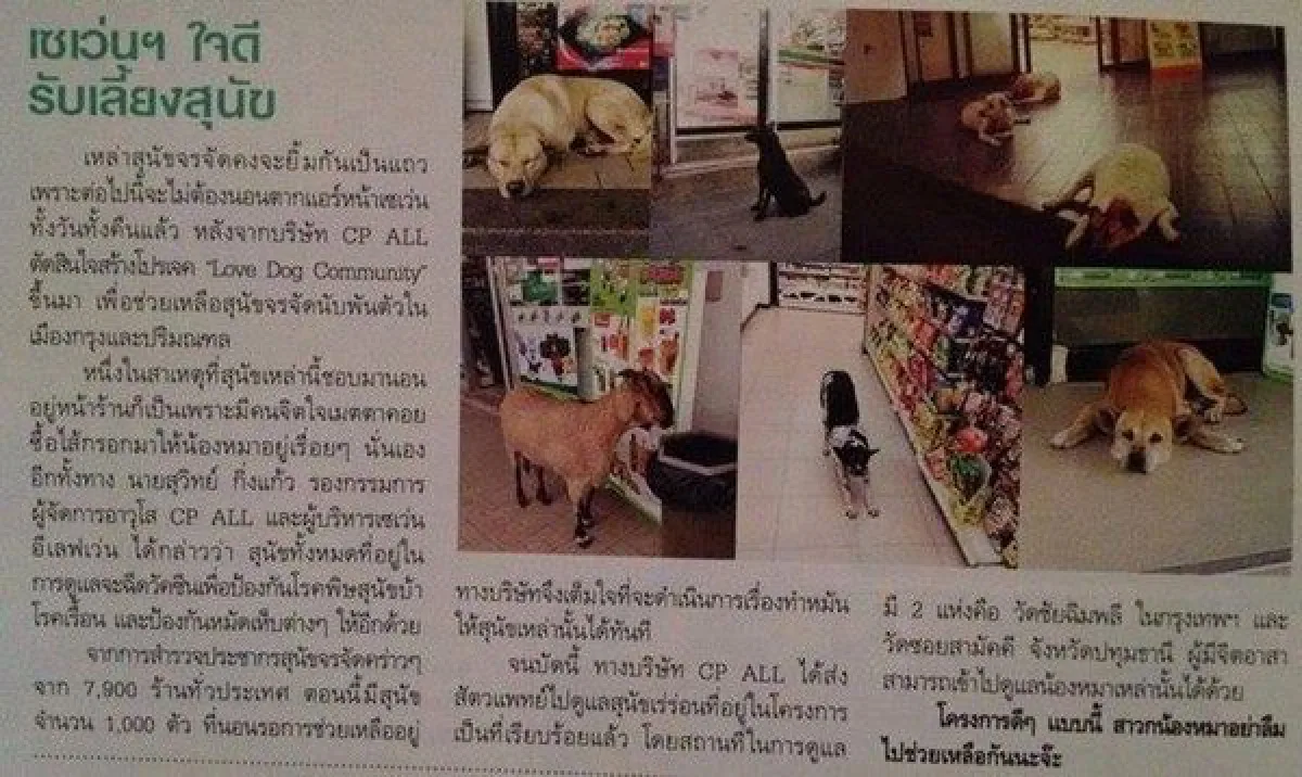 เรื่องวุ่นๆของ"หมาหน้าเซเว่น"