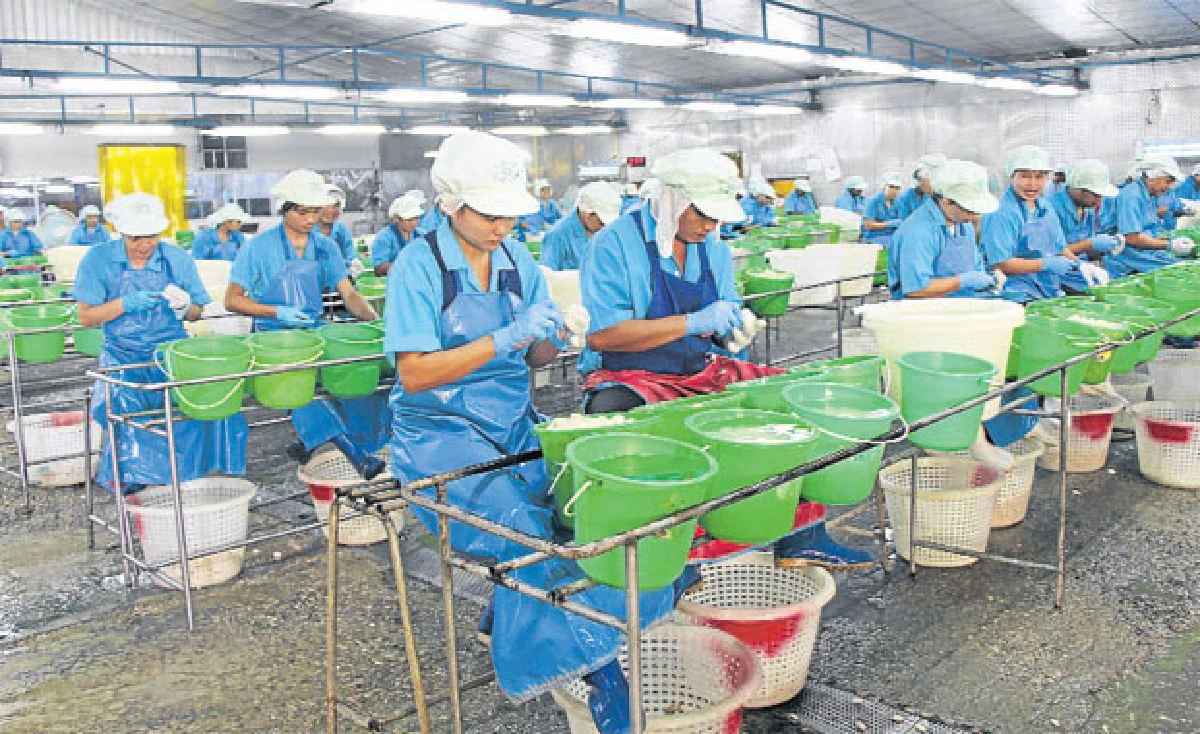 'ข้าวเหนียวมะม่วง' สู่นวัตกรรมเครื่องดื่มขนมไทย