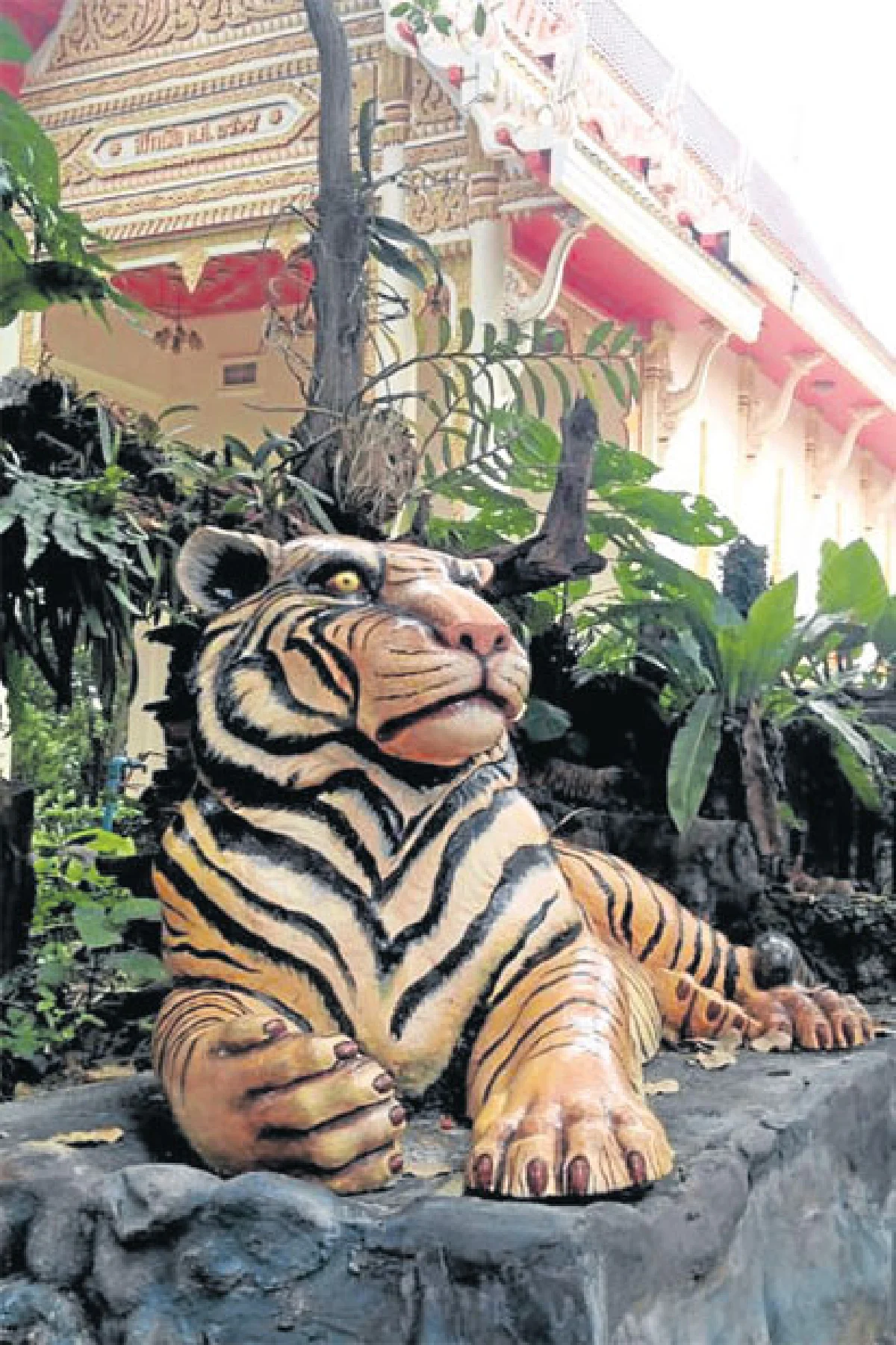 สงบสงัด ณ วัดหินหมากเป้ง