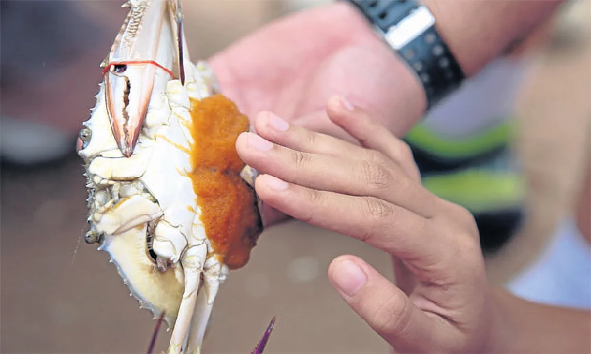 ภาพถ่ายที่ไม่เคยเห็น