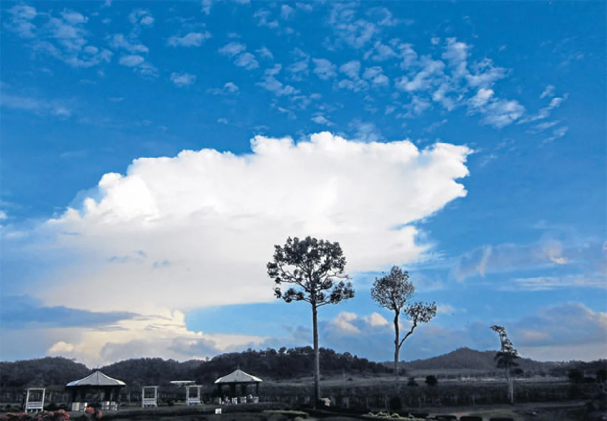 ภาพถ่ายที่ไม่เคยเห็น