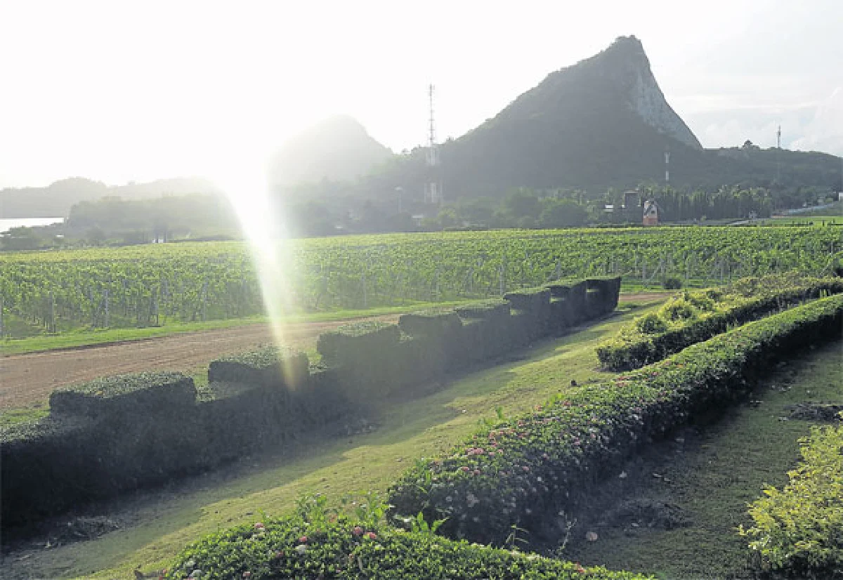 ภาพถ่ายที่ไม่เคยเห็น