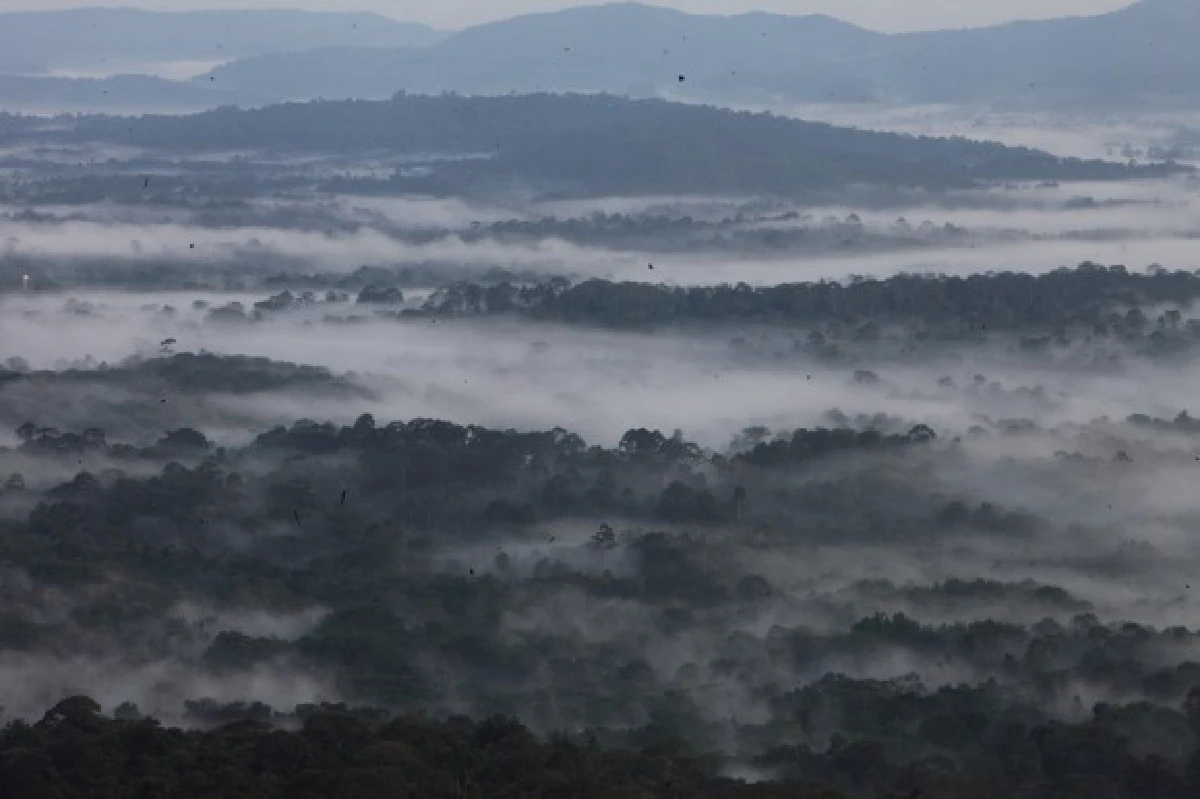 10จังหวัดไม่ควรพลาดรับไอหมอกหนาวนี้