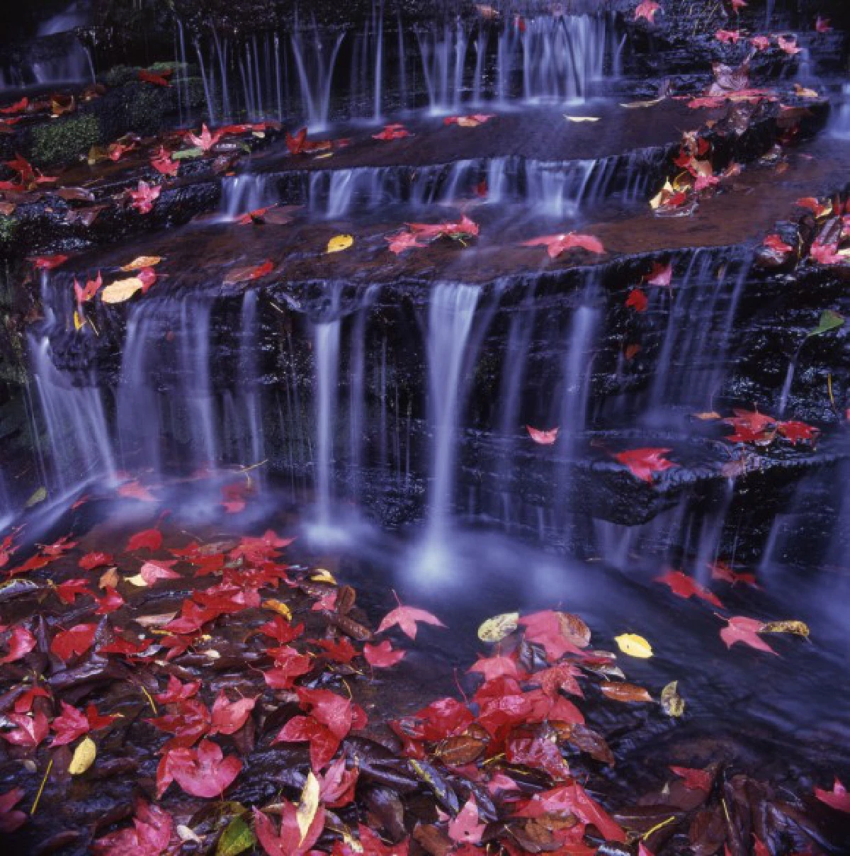 10จังหวัดไม่ควรพลาดรับไอหมอกหนาวนี้