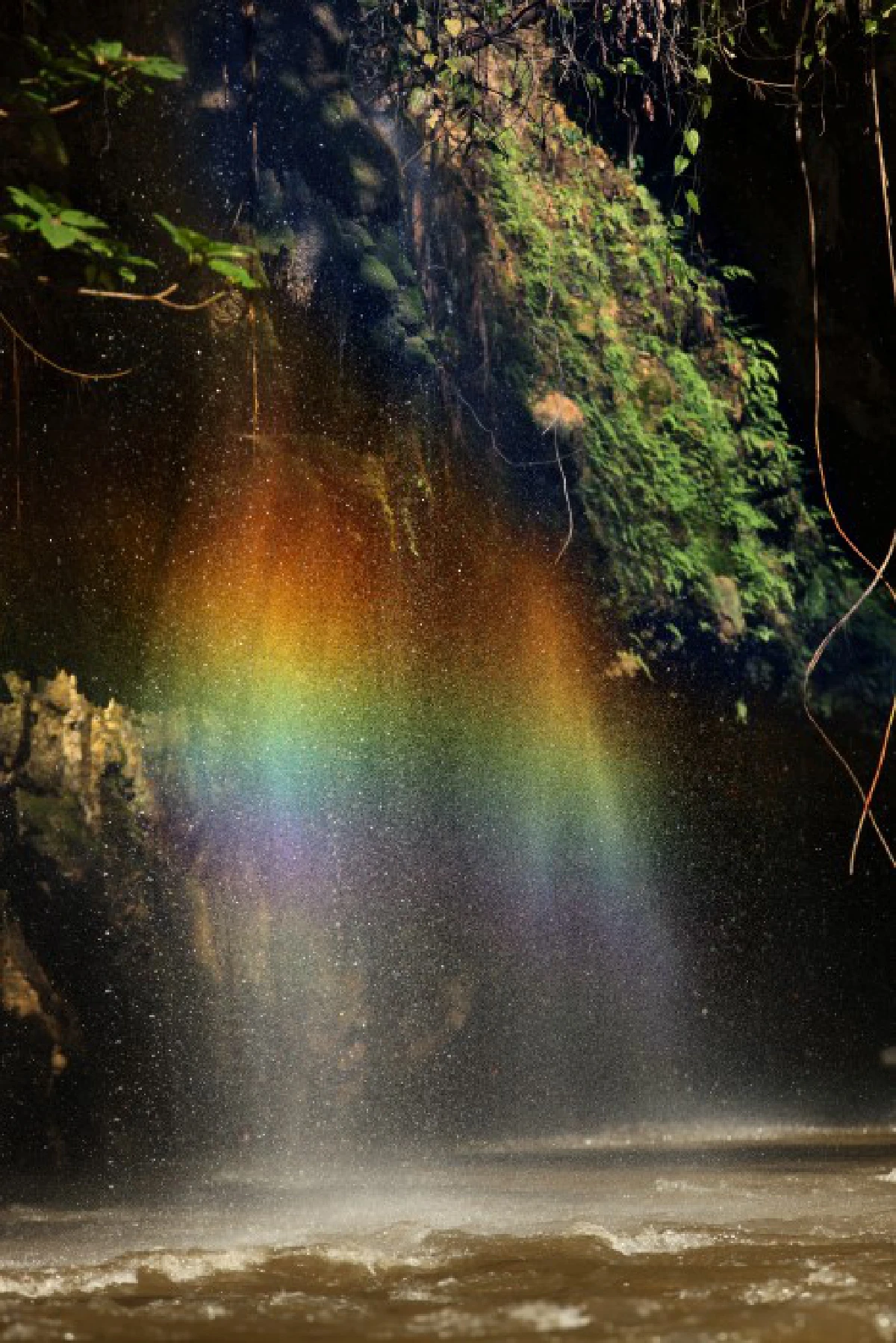 10จังหวัดไม่ควรพลาดรับไอหมอกหนาวนี้