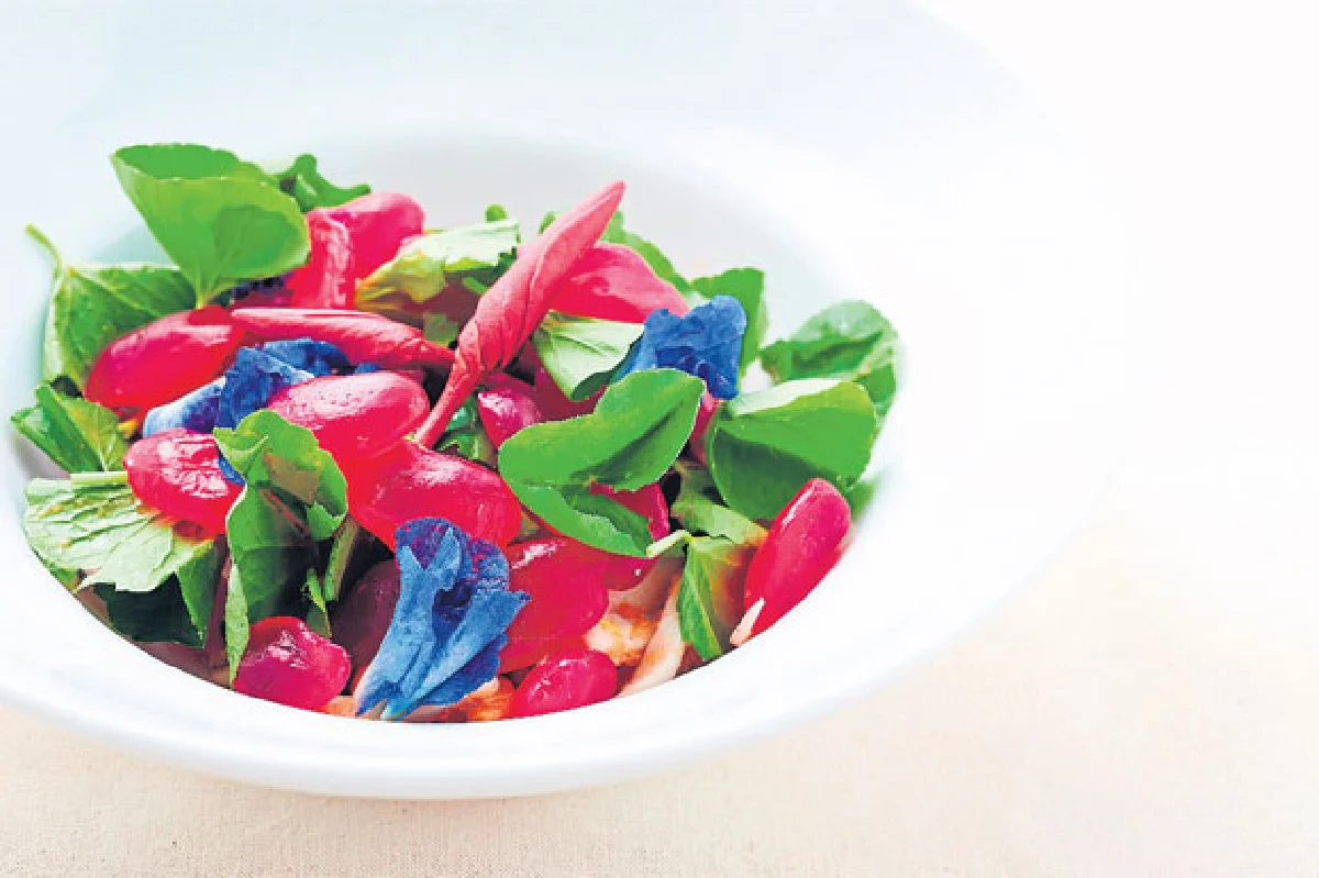 เมนูดอกไม้ สวยกินได้