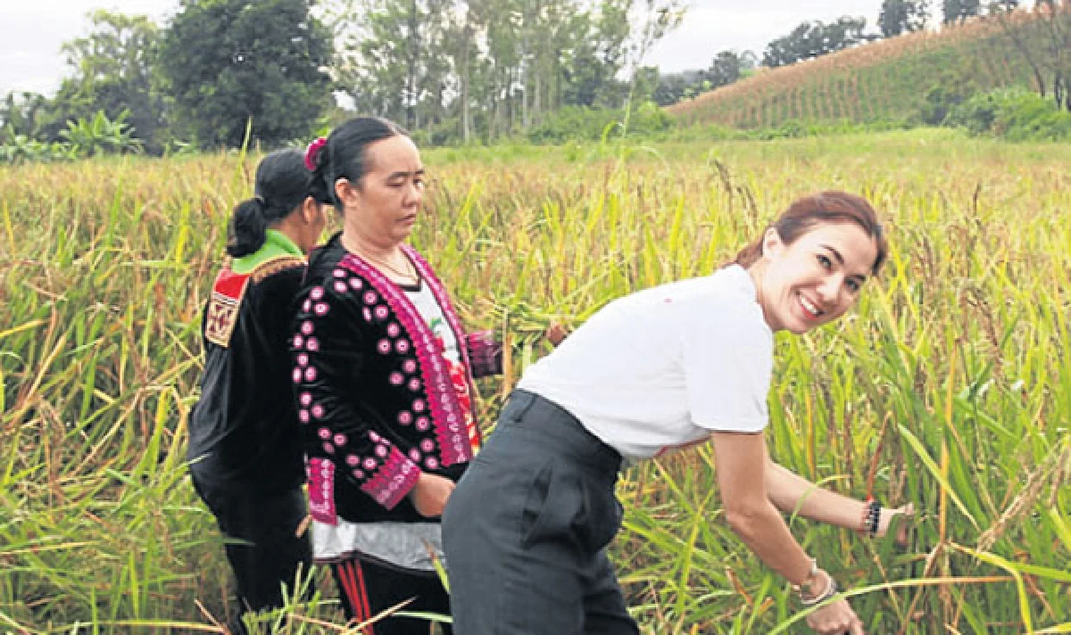 โครงการเซ็นทรัลอาสาฯ ส่งมอบโรงสีข้าวชุมชน