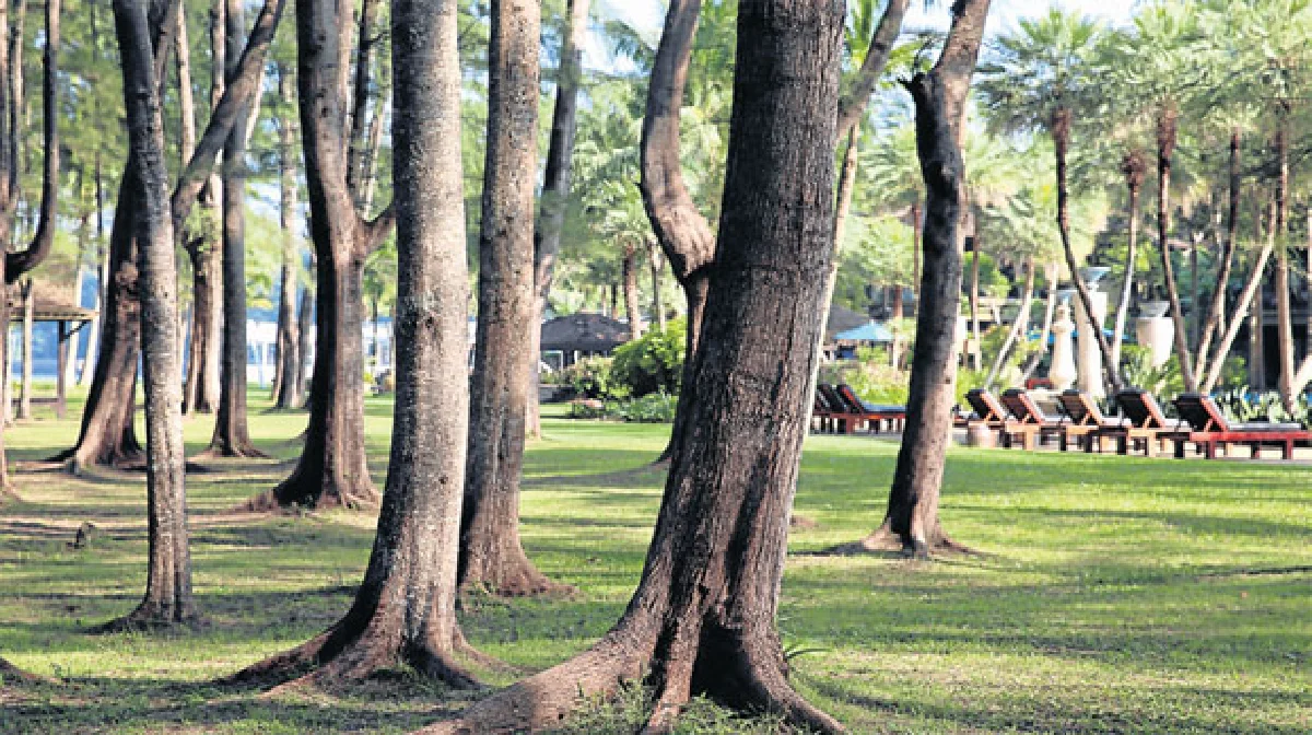 สุขไม่เบา อนันตรา สิเกา รีสอร์ท แอนด์ สปา