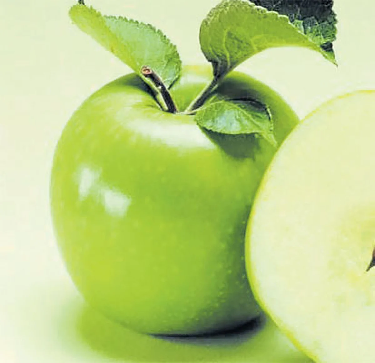 กำหนดอาหาร...กำหนดชีวิต