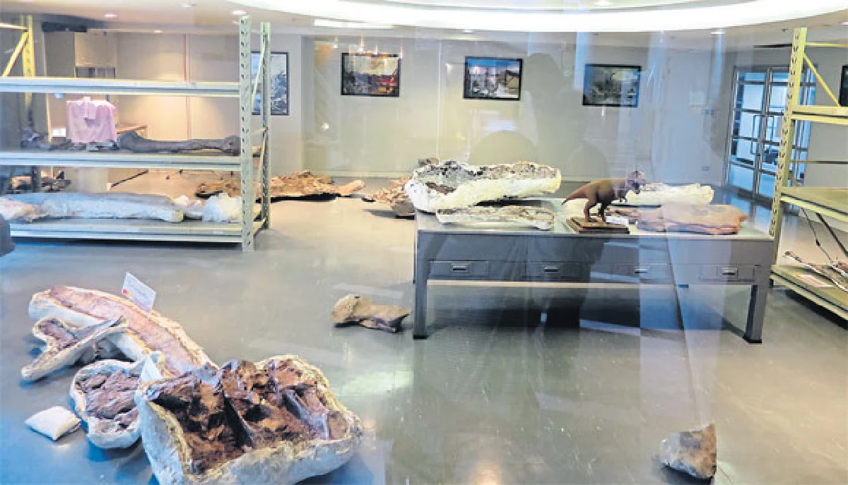 เรียนรู้พิบัติภัยใกล้ตัว พิพิธภัณฑสถานแห่งชาติธรณีวิทยา