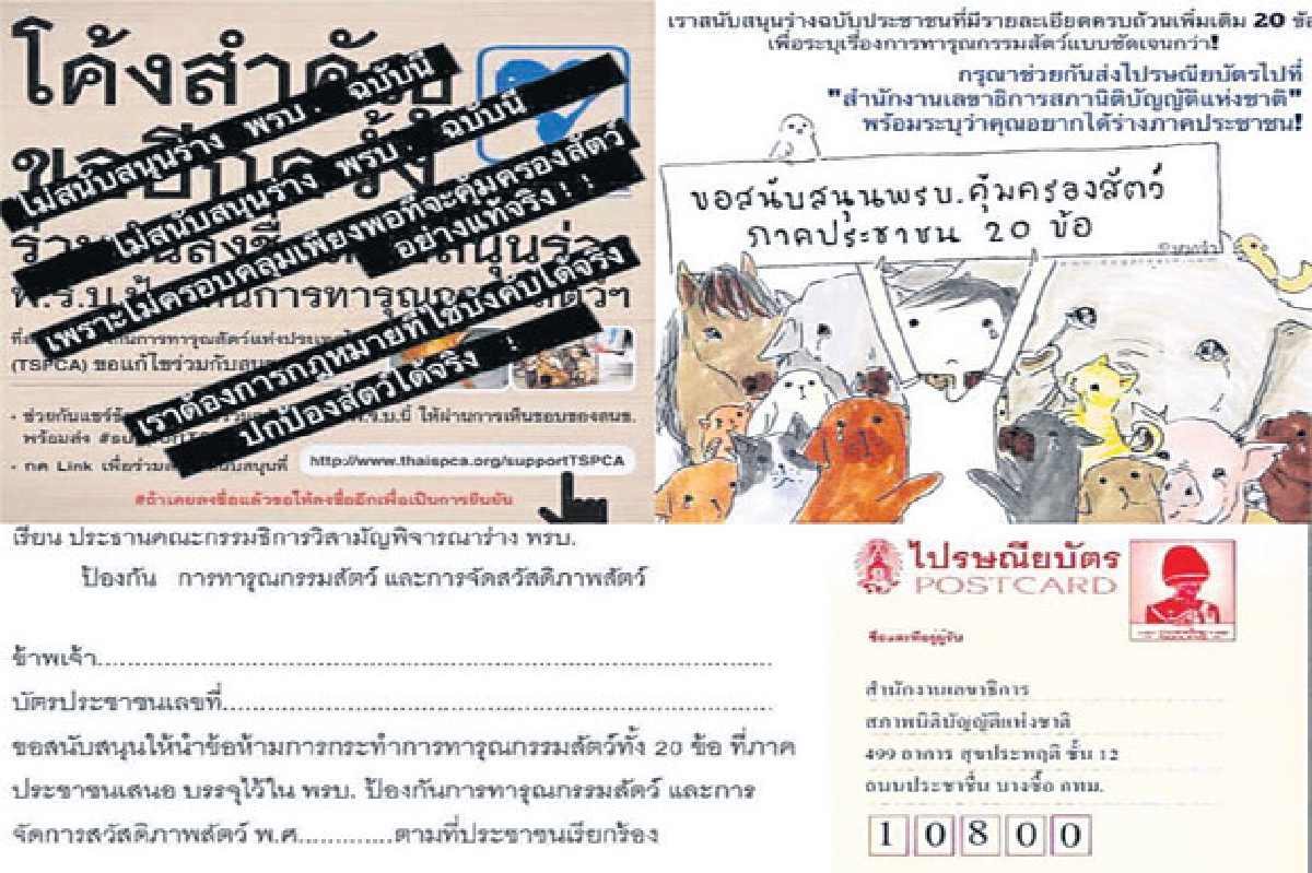ครั้งแรกของไทย "พ.ร.บ.คุ้มครองสัตว์" ครั้งแรกของไทย "พ.ร.บ.คุ้มครองสัตว์"