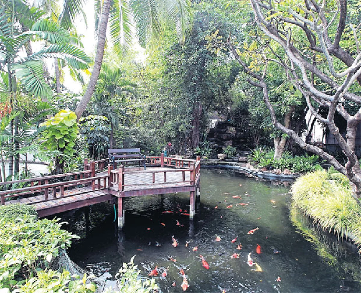 บ้านศูนย์กลาง ความอบอุ่น ของ วุฒิชัย เผอิญโชค