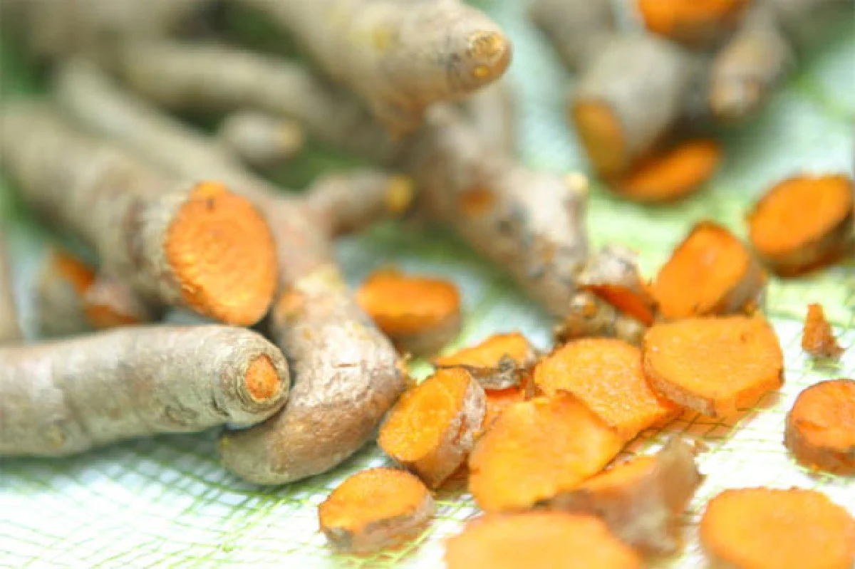 สมุนไพรไทย Go เออีซี