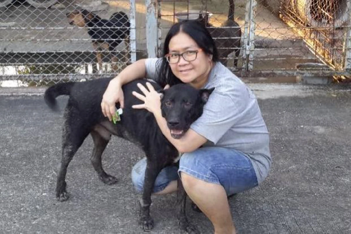 สมควรแก่เวลา "กฎหมายห้ามทารุณสัตว์"