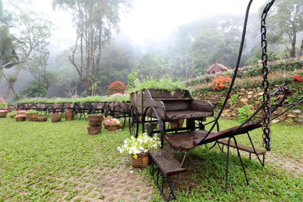 ดอกไม้ใต้แสงเทียนสวนแม่ฟ้าหลวง