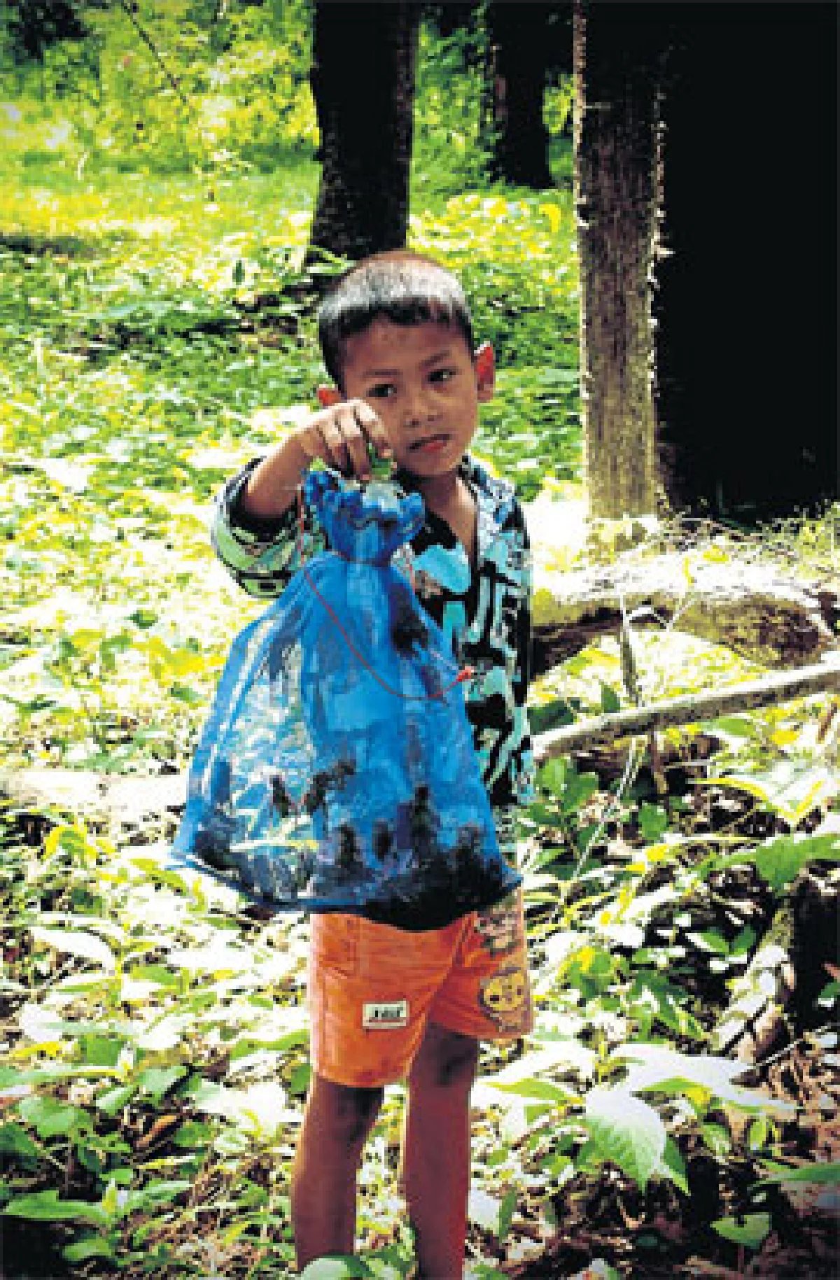 ตามรอย (เมือง) พ่อขุน