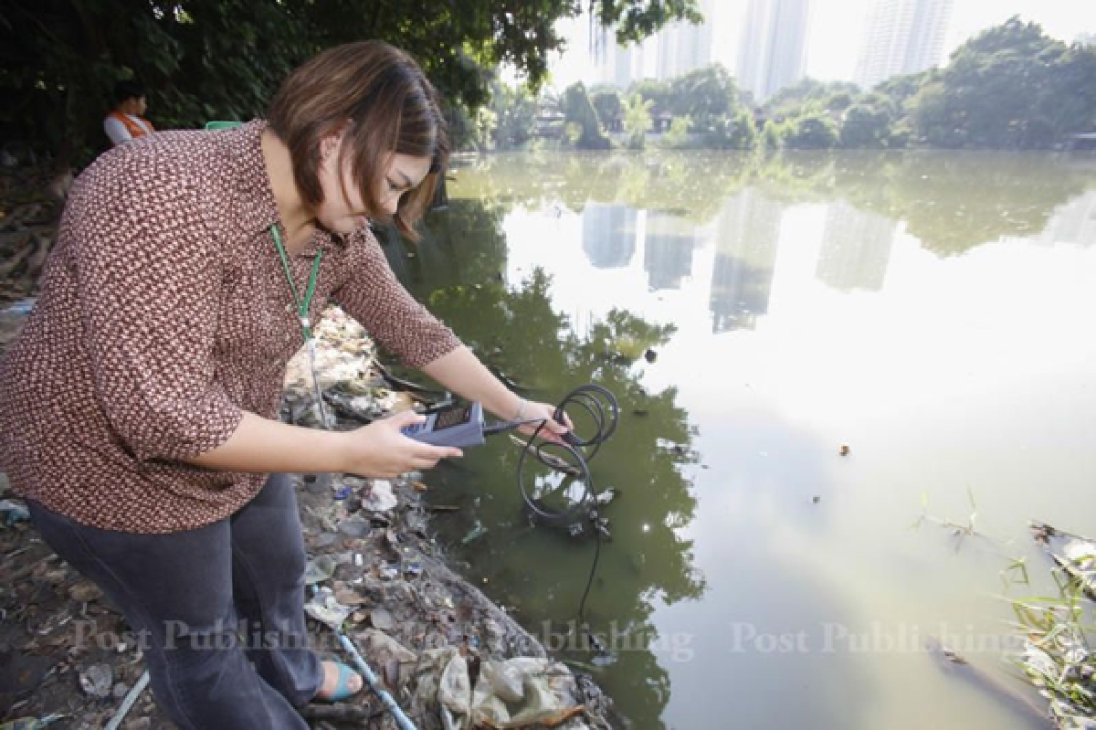 Fish die in the thousands in Makkasan pond
