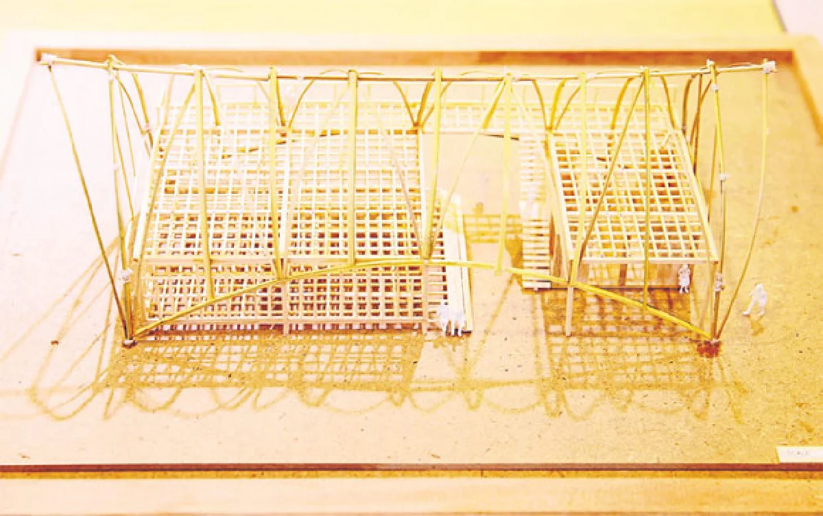 แก้ไขปัญหาสังคมด้วยงานดีไซน์ 'D4D'