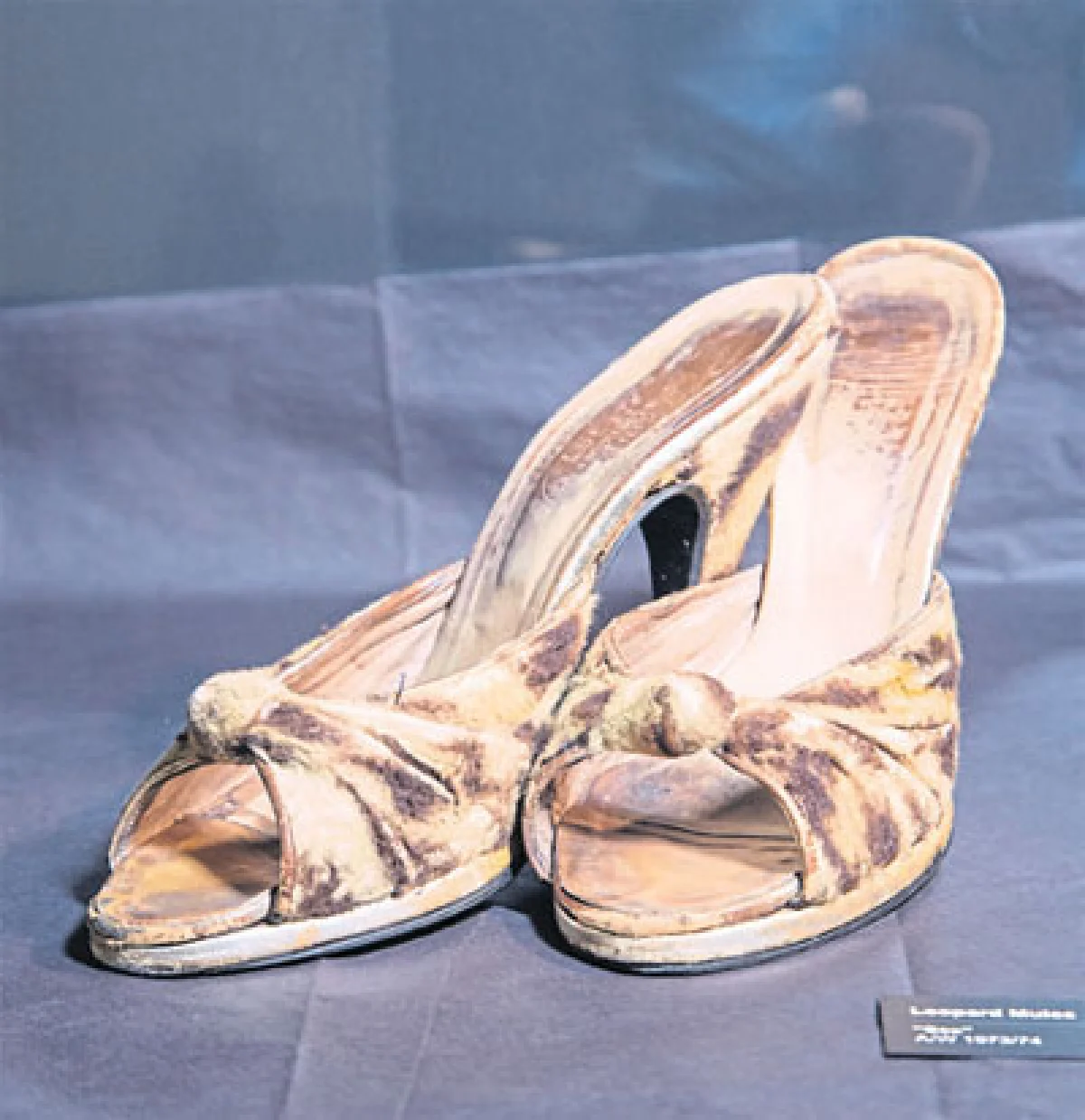 41 ปี แห่งงานออกแบบ วิเวียน เวสต์วูด