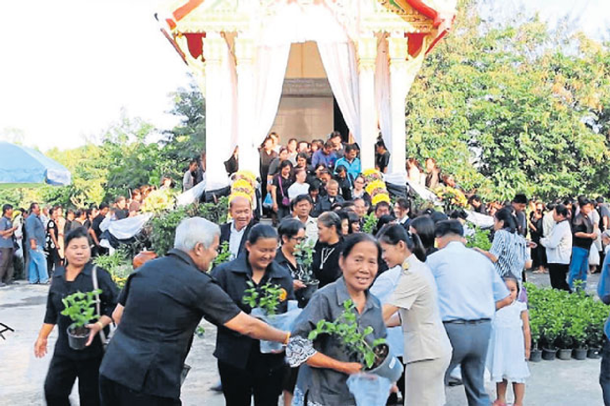 แจกต้นมะลิ แจกต้นมะลิ
