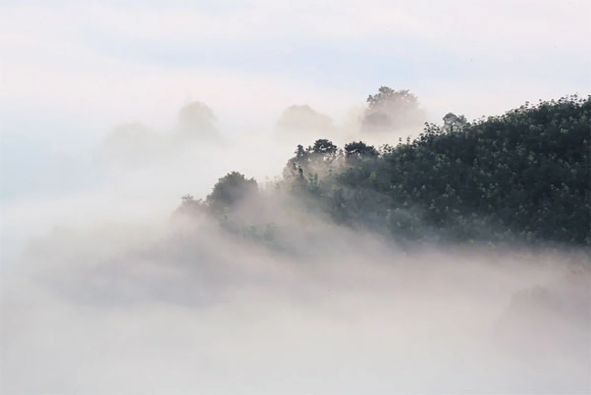 ภูห้วยอีสัน วันหมอกสวย