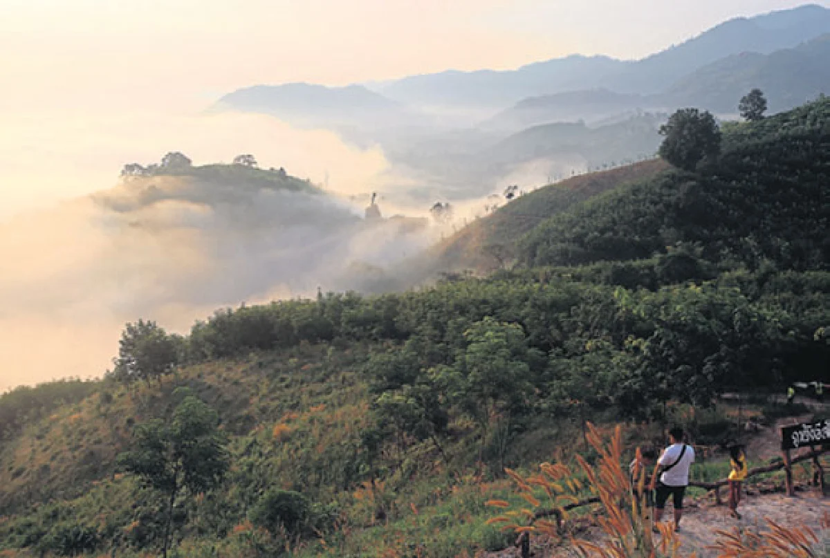 ภูห้วยอีสัน วันหมอกสวย