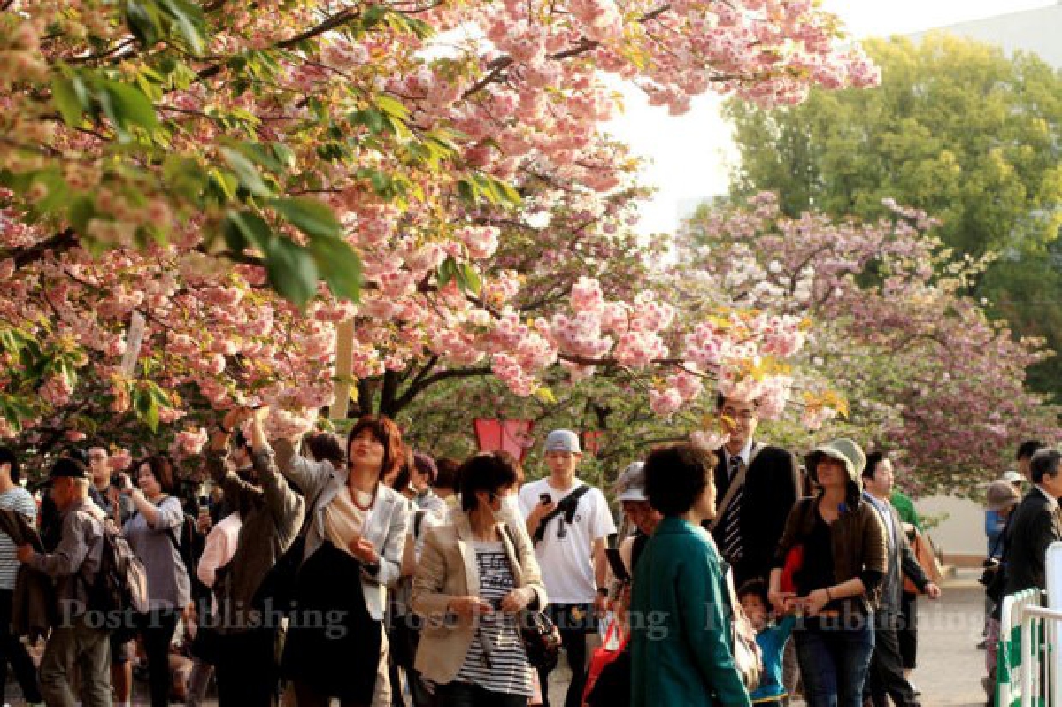 ทัวร์ไทยนำเที่ยวญี่ปุ่นโวย ตม.เข้มตรวจไม่เป็นธรรม ทัวร์ไทยนำเที่ยวญี่ปุ่นโวย ตม.เข้มตรวจไม่เป็นธรรม