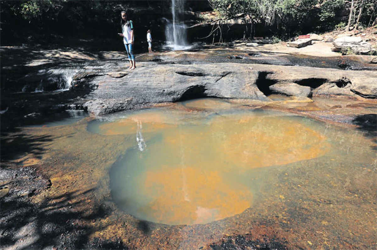 ดอกไม้ป่า สิ่งเล็กน้อย-มหาศาล