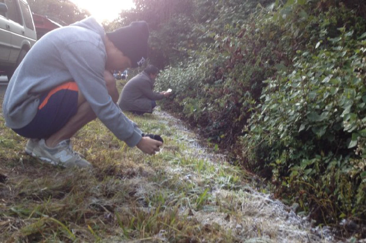 ดอยอินทนนท์หนาว"0 องศา”ต่ำสุดในรอบปี