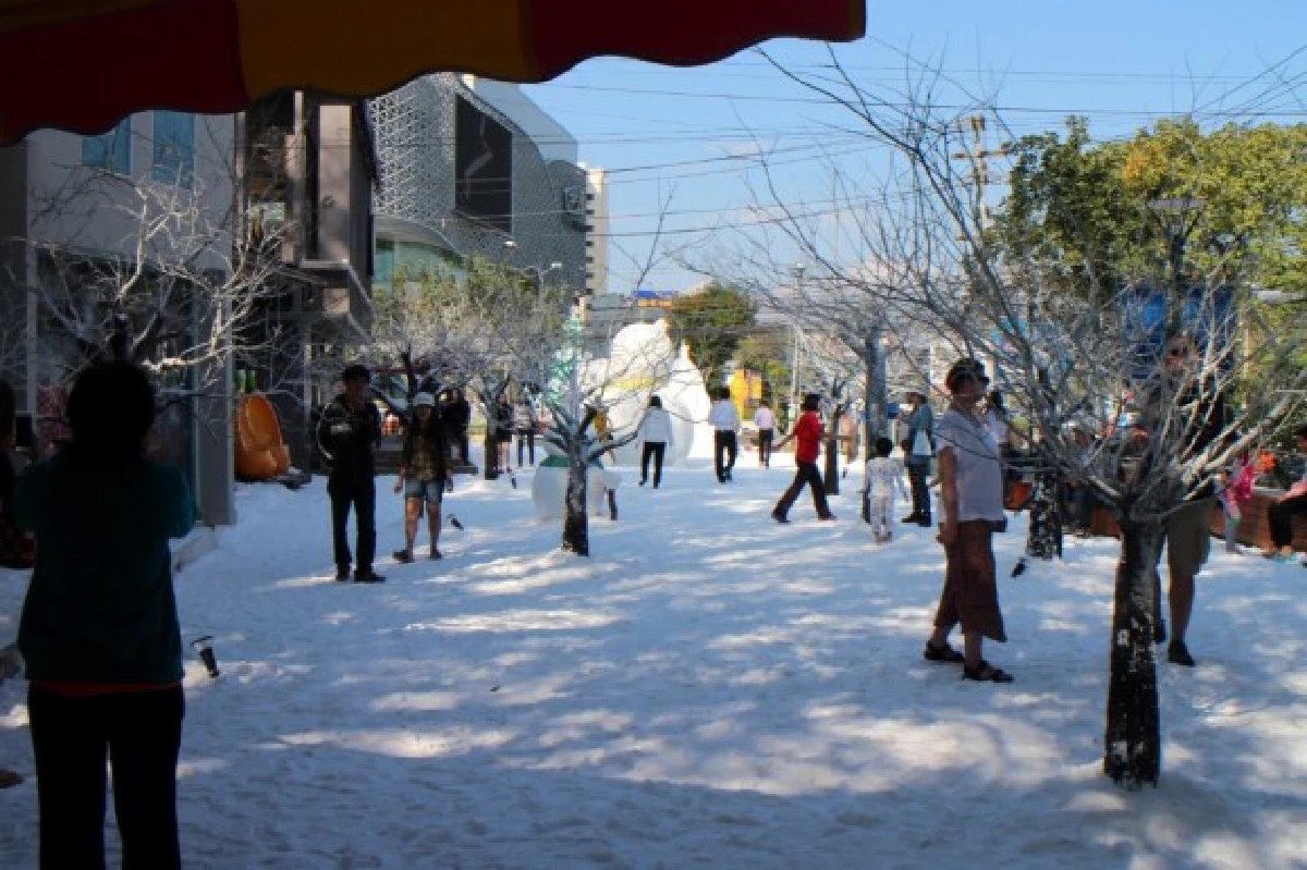 ฮือฮา!"หิมะเทียม"รับหนาวที่เชียงใหม่